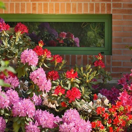 Villa Delle Ortensie Tavagnacco Екстер'єр фото